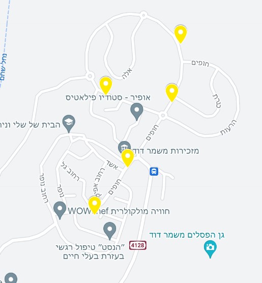 מפה משמר דוד. מפה דיגיטלית מצורפת למטה