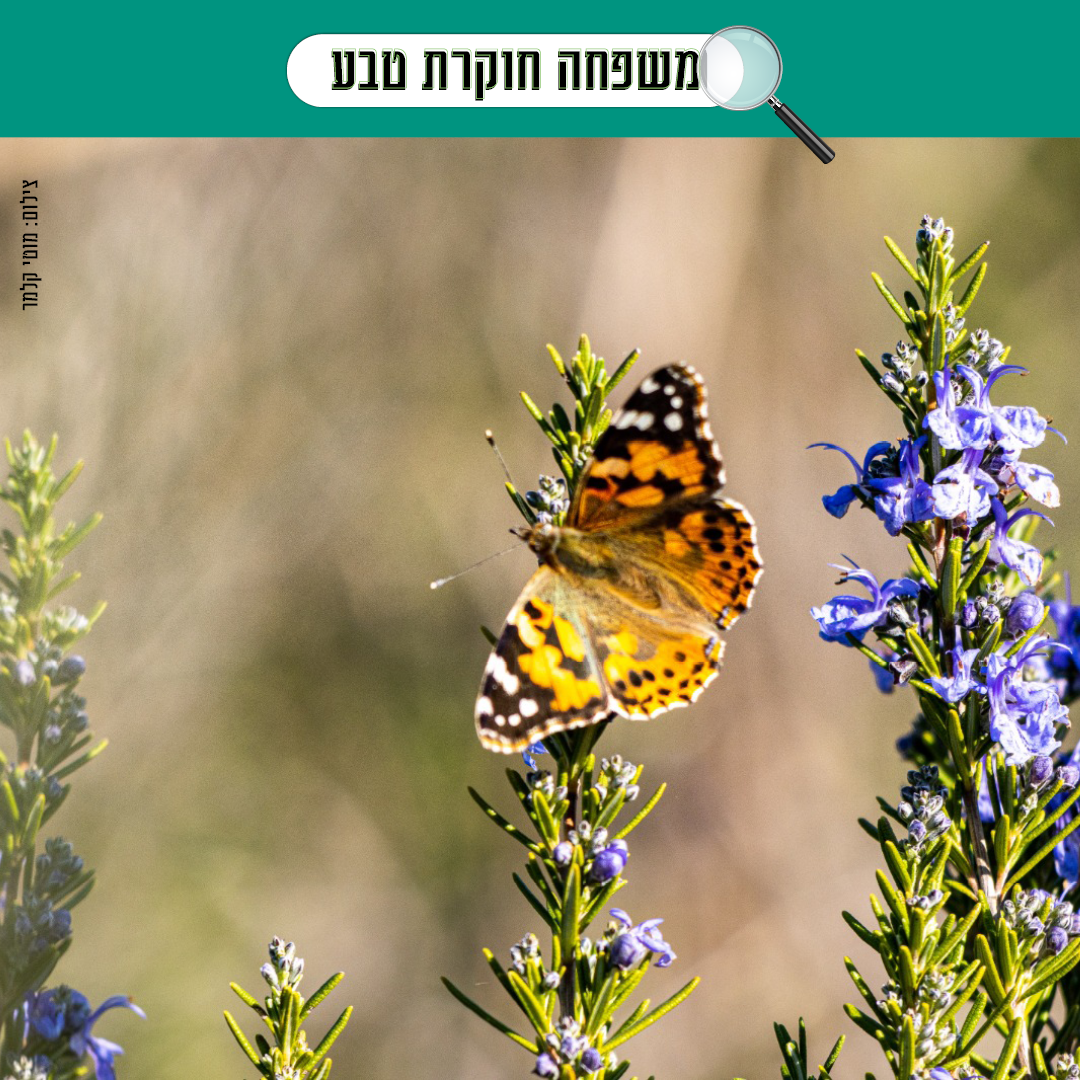 gezer_post_family_exploring_nature_1080x1080_04.png