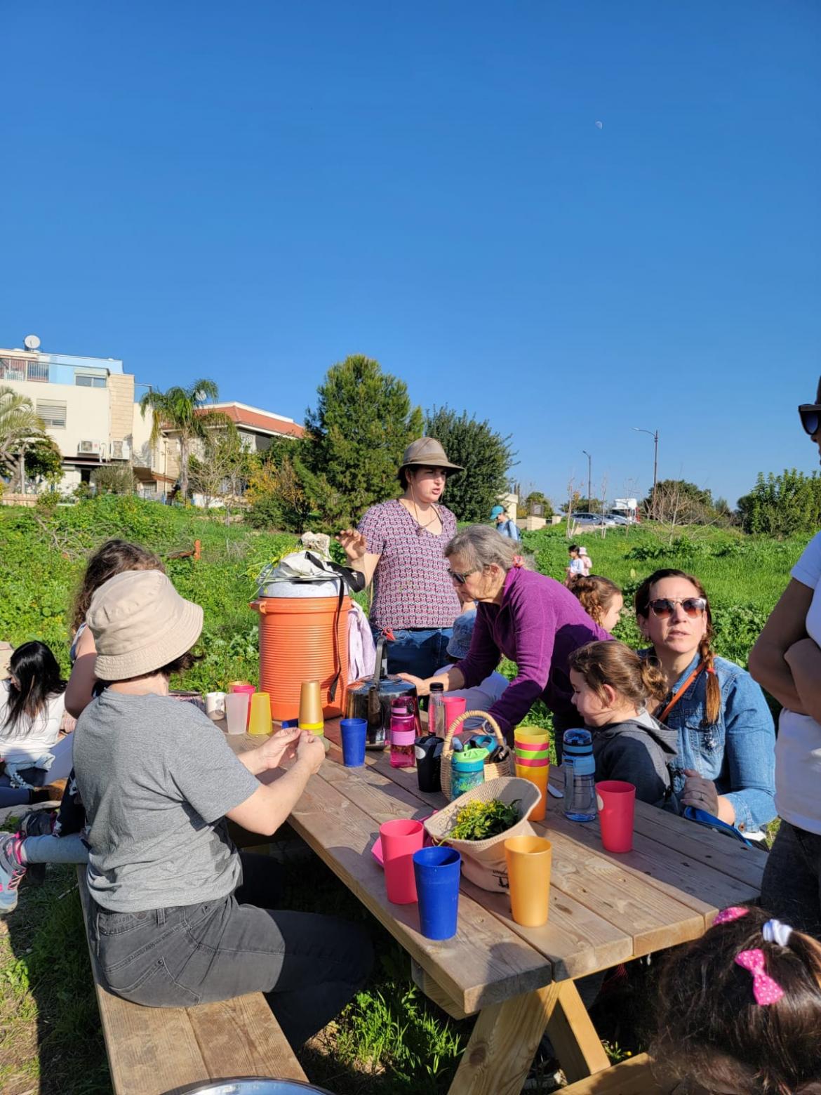 תמונה מתוך סדנת ליקוט