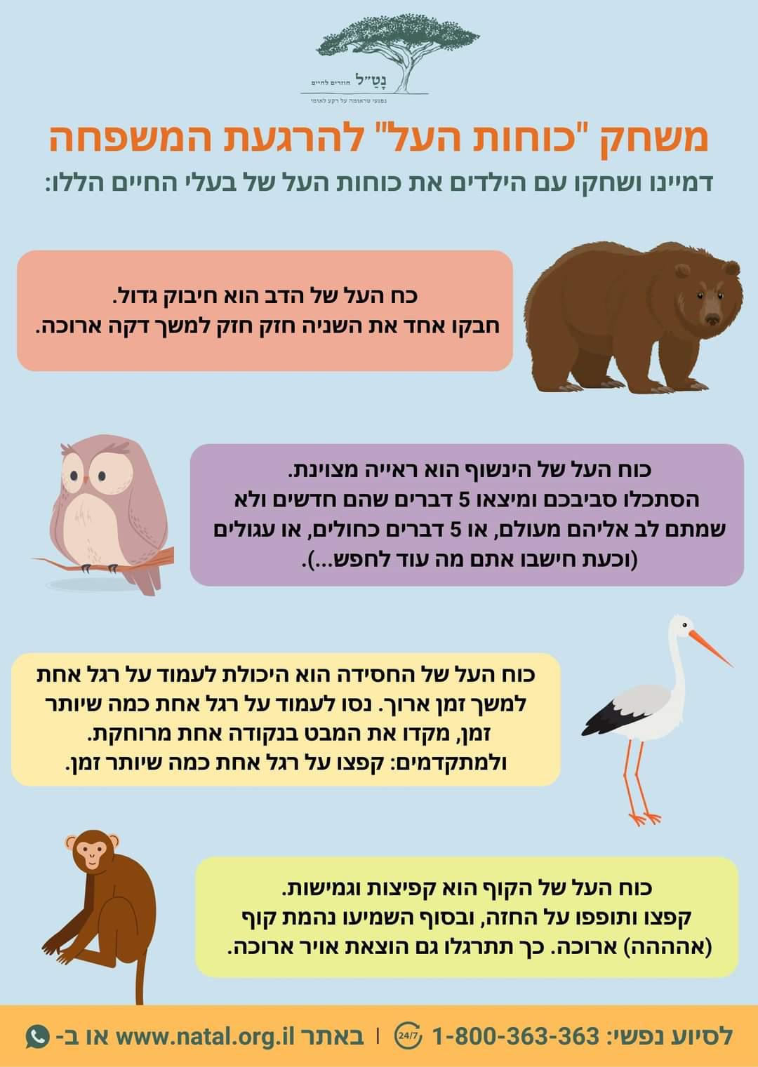משחק כוחות העל להרגעת המשפחה. דמיינו ושחקו עם הילדים את כוחות העל של בעלי החיים הללו. כוח העל של הדוב הוא חיבוק גדול חבקו אחד את השנייה חזק חזק למשך דקה ארוכה. כוח העל של הינשוף הוא ראייה מצוינת. הסתכלו סביבכם ומצאו חמשה דברים שהם חדשים ולא שמתם לב אליהם מעולם. או חמשה דברים כחולים או מעוגלים וכעת חשבו אתם מה עוד לחפש. כוח העל של החסידה הוא היכולת לעמוד על רגל אחת למשך זמן ארוך. נסו לעמוד על רגל אחת כמה שיותר זמן. מקדו את המבט בנקודה אחת מרוחקת. ולמתקדמים קפצו על רגל אחת כמה שיותר זמן. כוח העל של הקוף הוא קפיצות וגמישות. קפצו וטופפו על החזה. ובסוף השמיעו נחמת קוף ארוכה. כך תתרגלו גם הוצאת אוויר ארוכה. לסיוע נפשי באתר www.natal.org.il או בטלפון 1800363363