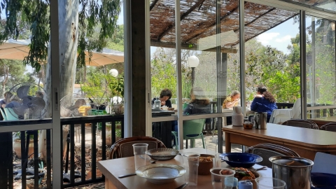 עסקים 9.jpg