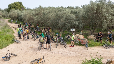 תמונה מטור גזר 7.jpg