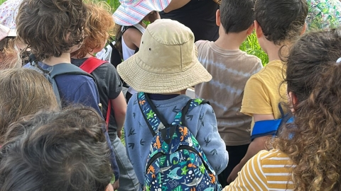 תוכנית חינוך לקיימות בגני הילדים1.jpg
