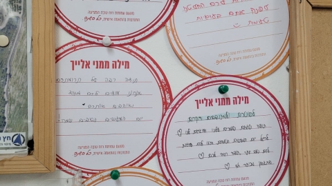 מעשים טובים בגזר 7.jpg