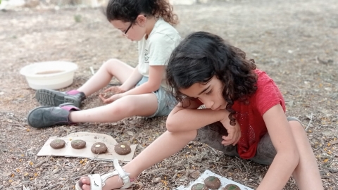 תמונה מתוך שבוע ירוק במערכת החינוך2.jpg