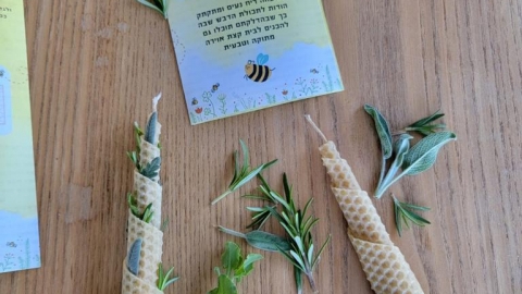 WhatsApp Image 2023-12-21 at 13.46.23.jpeg
