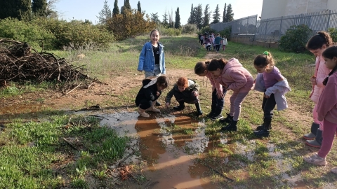גוונים 1.jpg