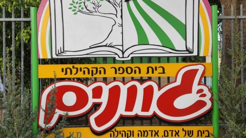 גוונים 5.jpeg