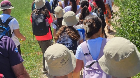 ילדים הולכים.jpg