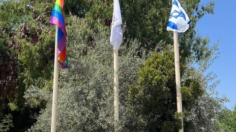 דגל ישראל דגל המועצה ודגל הגאווה.jpg