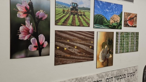 תמונות על הקיר וכתוב המשפט שמש בגבעון דום וירח בעמק אילון. ספר יהושוע פרק י פסוק יב.jpg