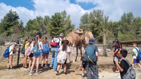 ילדים עומדים ליד גמלים.jpg