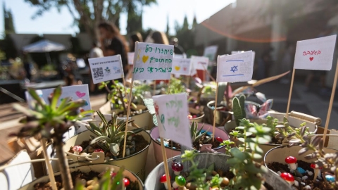 עציצים ששמו עליהם פתקי נייר.jpg
