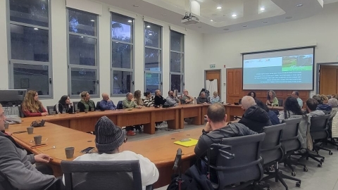תושבים ותושבות ונציגי ועדים יושבים ודנים במליאה.jpg