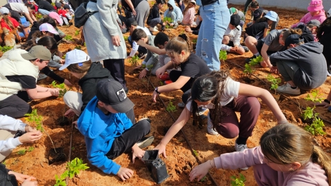 תלמידי שדות איילון בפעילות נטיעות בשדה התעופה.jpeg