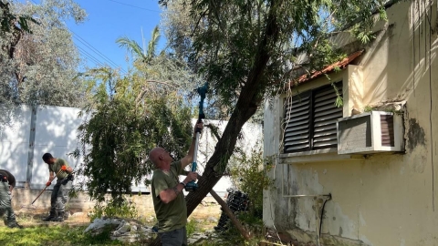 מתנדב גוזם עץ בחצר האחורית של תושבת ותיקה.jpg