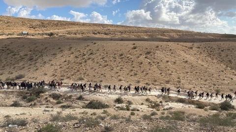 שיירה של חניכים מטיילת במדבר.jpg
