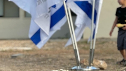 אבנים שהונחו וברקע דגל ישראל.jpg