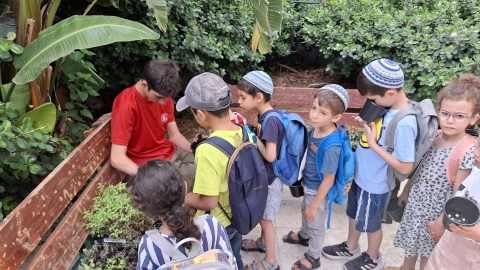 ילדים מכינים עציתי תבלין שיתאימו להוספת טעמים למים.jpg