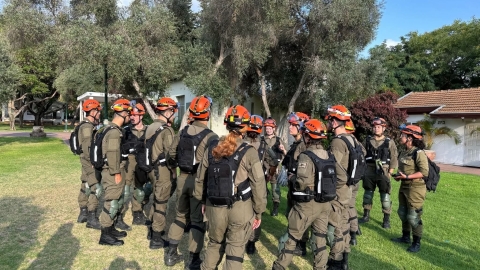 חיילים עומדים     על דשא.jpeg