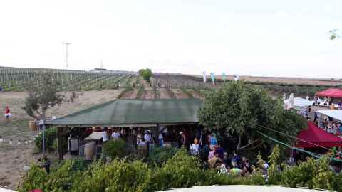 מסיבת שנות השישים ביקב ברבדו.jpg