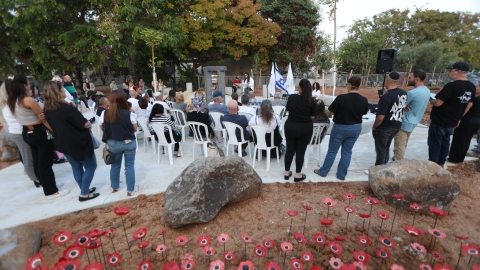 כלניות פזורות ברחבי הגן.jpeg