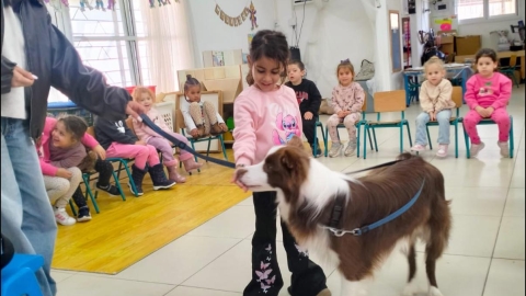 פעילות של כלבנות.jpg