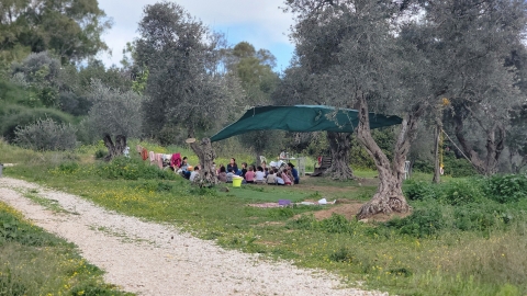 ילדים ביום יער.jpg