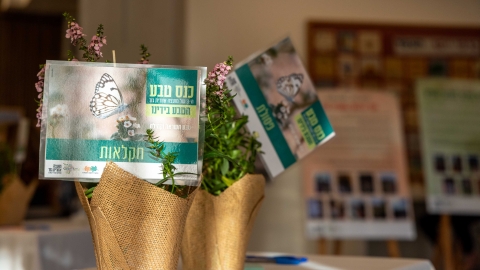 עציץ על שולחן .jpg